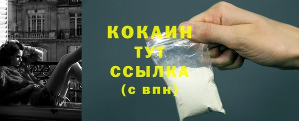 2c-b Каменка