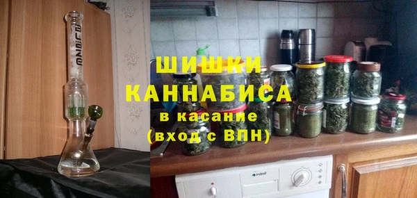 2c-b Каменка