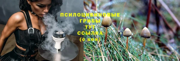 2c-b Каменка