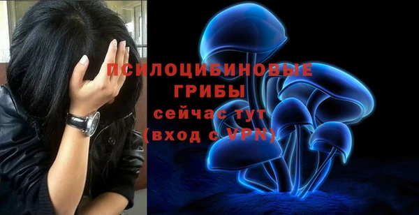 прущая мука Каменск-Шахтинский