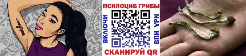 Купить  Бузулук  Галлюциногенные грибы Cubensis 